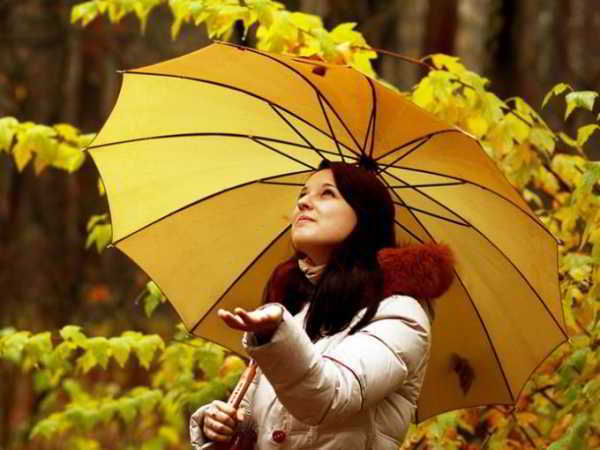 Как выбрать хороший зонт